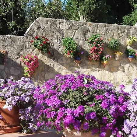 Floresmar * Κάλπε